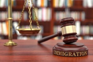 Can a Lawyer Speed Up My Immigration Case?